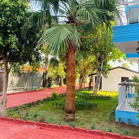 Cysirius Bed and Breakfast